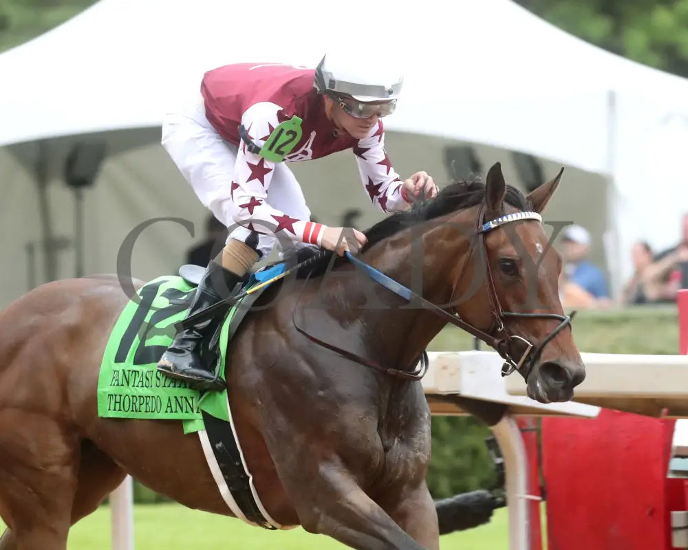 Thorpedo Anna - The 52Nd Running Of Fantasy Stakes G2 03 - 30 - 24 R11 Op Tight Finish 02 Oaklawn