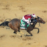 Thorpedo Anna - The Longines Kentucky Oaks G1 05-03-24 R11 Churchill Downs Aerial Finish 01 James