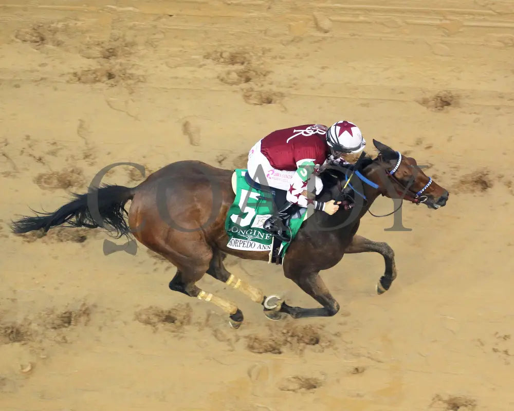 Thorpedo Anna - The Longines Kentucky Oaks G1 05-03-24 R11 Churchill Downs Aerial Finish 01 James