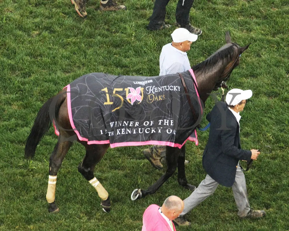 Thorpedo Anna - The Longines Kentucky Oaks G1 05-03-24 R11 Churchill Downs Blanket 01