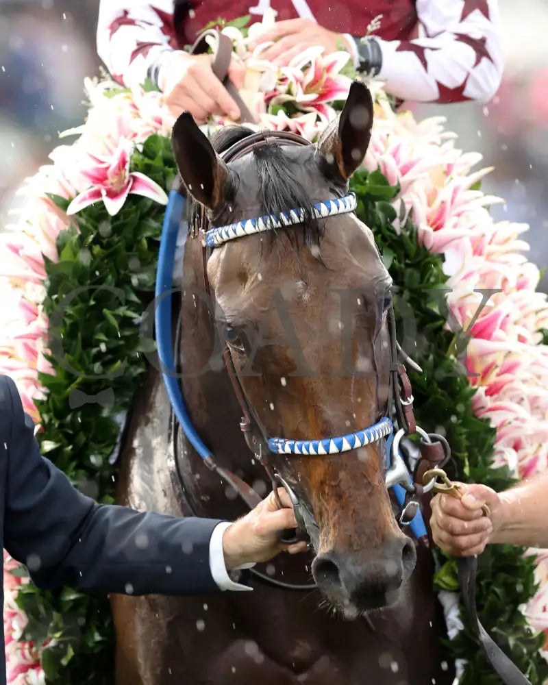 Thorpedo Anna - The Longines Kentucky Oaks G1 05-03-24 R11 Churchill Downs Garland 01 Renee Torbit