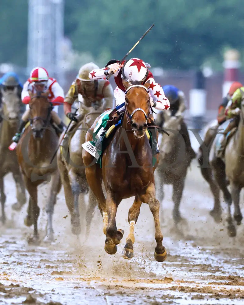 Thorpedo Anna - The Longines Kentucky Oaks G1 05-03-24 R11 Churchill Downs Head On 03