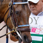 Thorpedo Anna - The Longines Kentucky Oaks G1 05-03-24 R11 Churchill Downs Head Shot 01