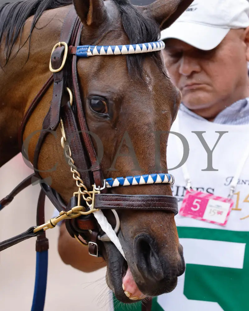 Thorpedo Anna - The Longines Kentucky Oaks G1 05-03-24 R11 Churchill Downs Head Shot 01