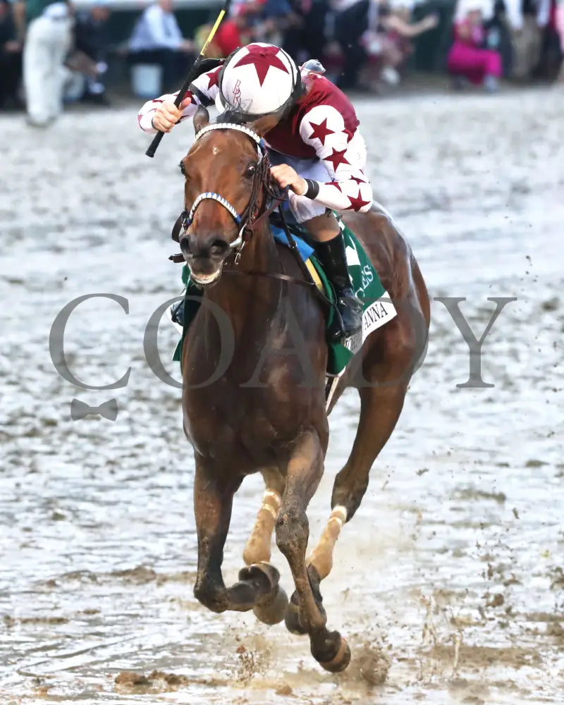 Thorpedo Anna - The Longines Kentucky Oaks G1 05-03-24 R11 Churchill Downs Inside Finish 01