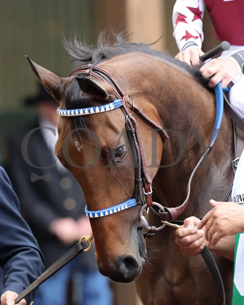 Thorpedo Anna - The Longines Kentucky Oaks G1 05-03-24 R11 Churchill Downs Paddock 02