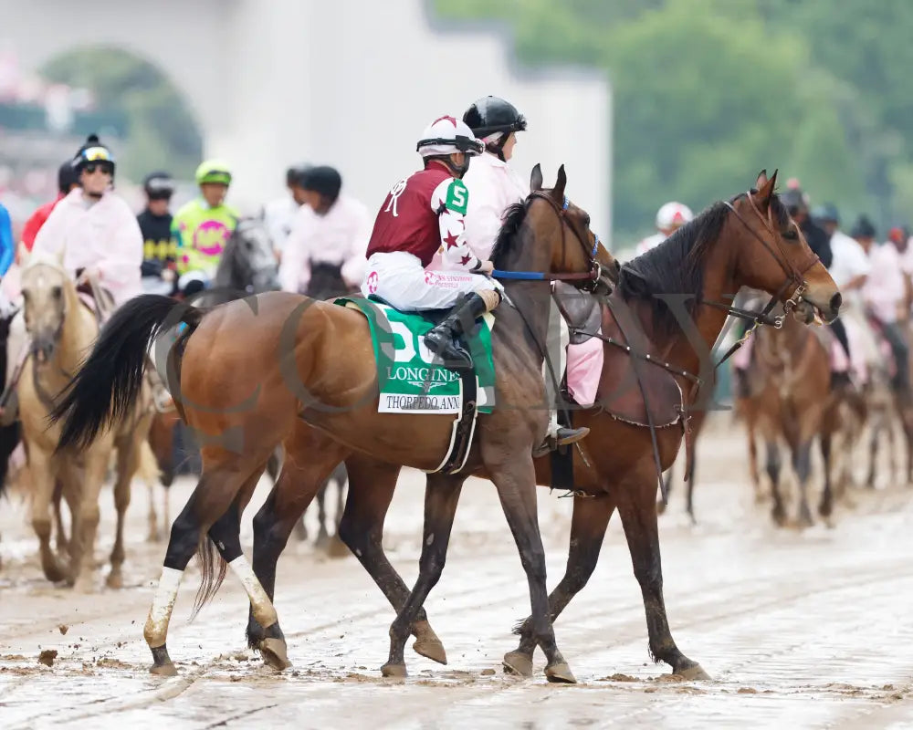 Thorpedo Anna - The Longines Kentucky Oaks G1 05-03-24 R11 Churchill Downs Post Parade 04