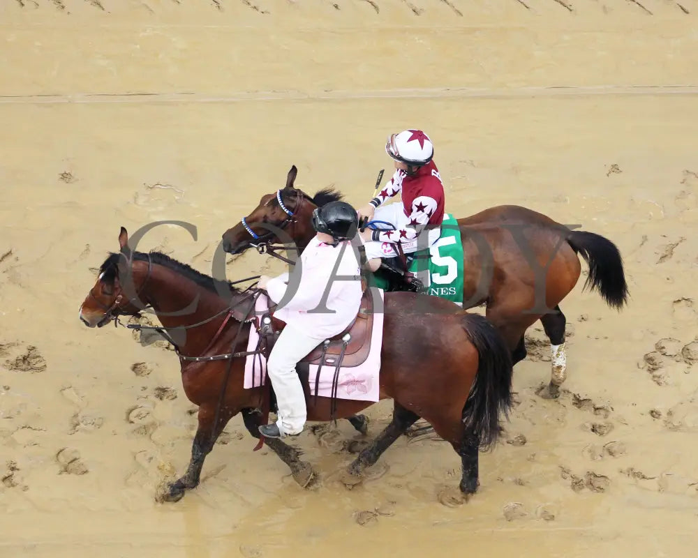 Thorpedo Anna - The Longines Kentucky Oaks G1 05-03-24 R11 Churchill Downs Post Parade 06