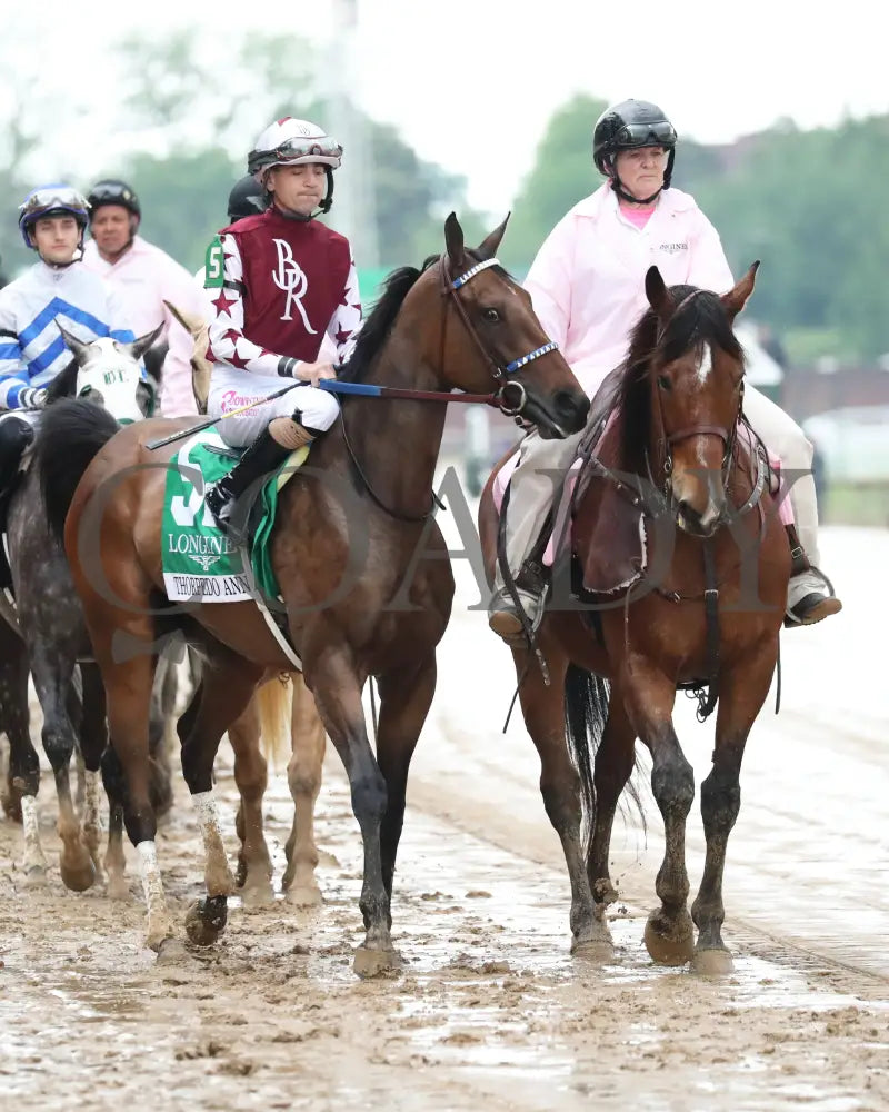 Thorpedo Anna - The Longines Kentucky Oaks G1 05-03-24 R11 Churchill Downs Post Parade 03