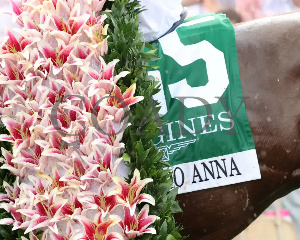 Thorpedo Anna - The Longines Kentucky Oaks G1 05-03-24 R11 Churchill Downs Saddle Towel 02