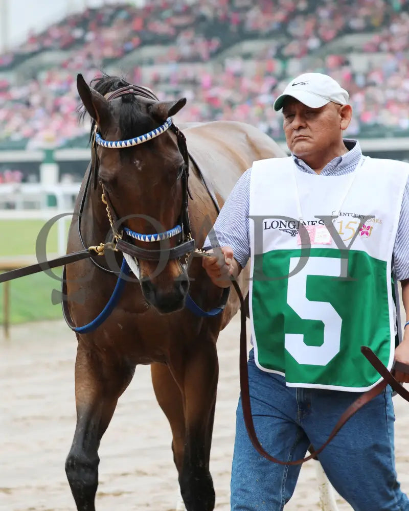 Thorpedo Anna - The Longines Kentucky Oaks G1 05-03-24 R11 Churchill Downs Walk Over 01