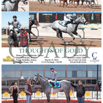 Thoughts Of Gold - 03 - 15 - 24 R06 Sun Sunland Park