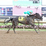 Three Coats - Indiana First Lady 21St Running 07-31-24 R09 Horseshoe Finish 01 Sammantha Pagels