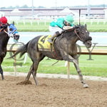 Three Coats - Indiana First Lady 21St Running 07-31-24 R09 Horseshoe Finish 02 Sammantha Pagels