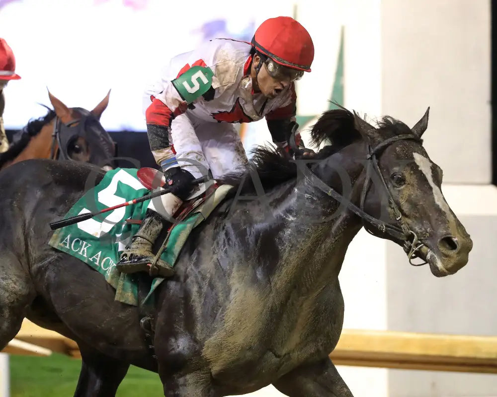 Three Technique - The Ack G3 32Nd Running 09-28-24 R08 Cd Celebration 01 Churchill Downs