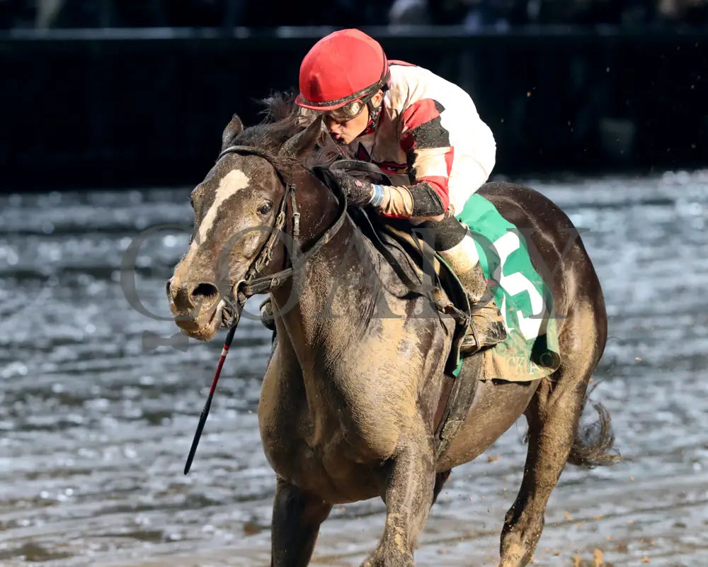 Three Technique - The Ack G3 32Nd Running 09-28-24 R08 Cd Inside Finish 01 Churchill Downs