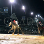 Three Technique - The Ack G3 32Nd Running 09-28-24 R08 Cd Under Rail 01 Churchill Downs