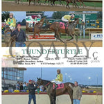 Thunderturtle - 04 - 19 - 24 R02 Ct Hollywood Casino At Charles Town Races