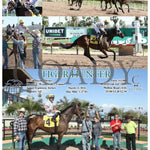 Tiger Hunter - 03 - 13 - 24 R04 Tup Turf Paradise