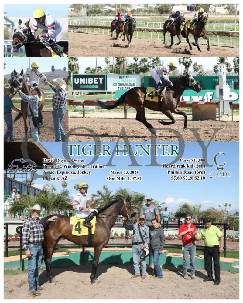 Tiger Hunter - 03 - 13 - 24 R04 Tup Turf Paradise