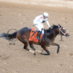 Timberlake - Rebel Stakes G2 64Th Running 02-24-24 R11 Op Aerial Finish 01 Oaklawn Park