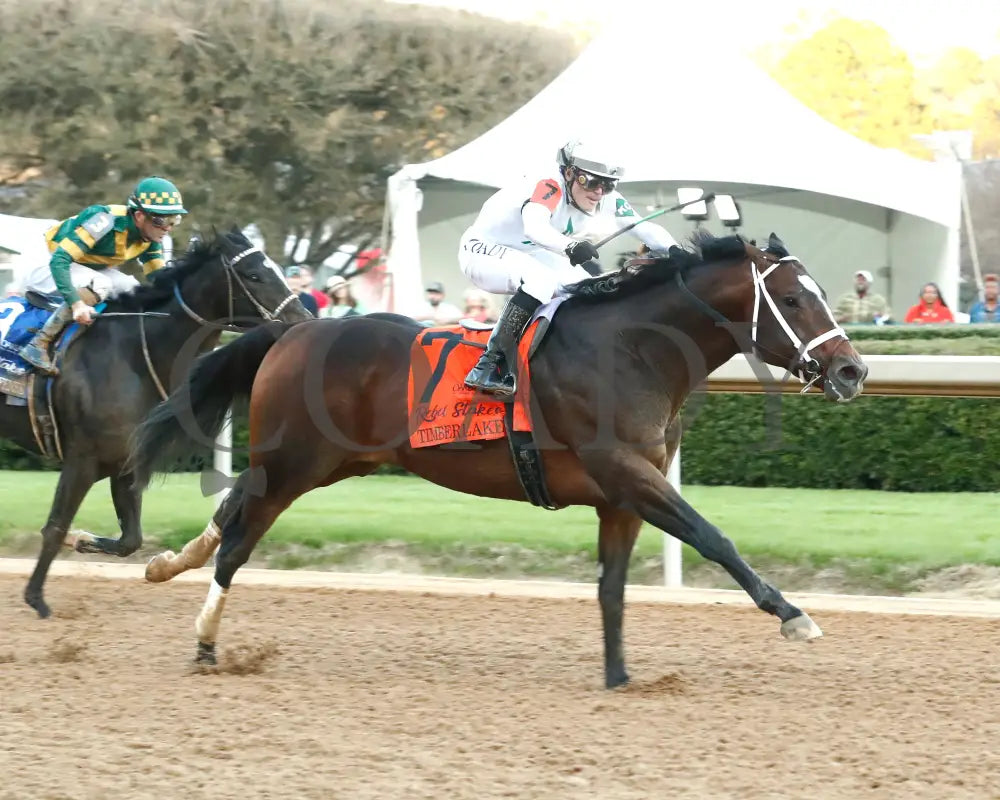 Timberlake - Rebel Stakes G2 64Th Running 02-24-24 R11 Op Finish 01 Oaklawn Park