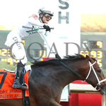 Timberlake - Rebel Stakes G2 64Th Running 02-24-24 R11 Op Finish 03 Oaklawn Park