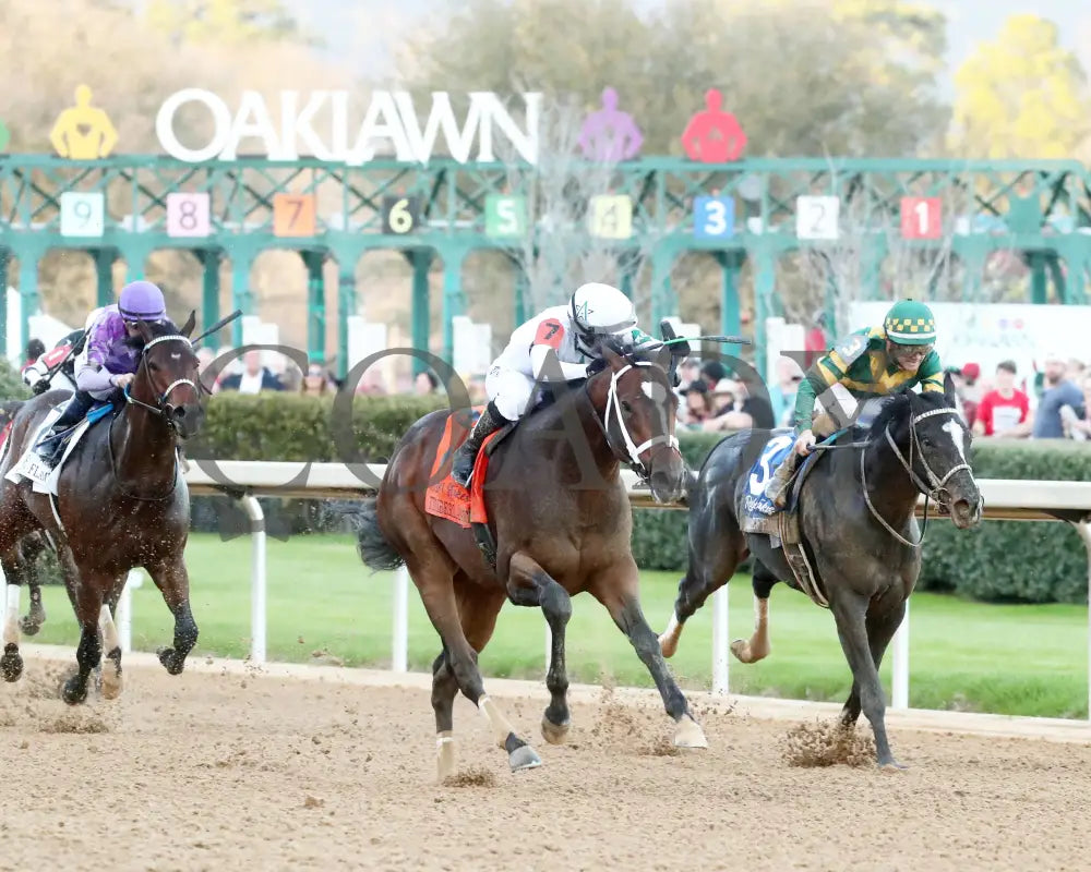 Timberlake - Rebel Stakes G2 64Th Running 02-24-24 R11 Op Finish 05 Oaklawn Park