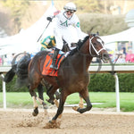 Timberlake - Rebel Stakes G2 64Th Running 02-24-24 R11 Op Finish 02 Oaklawn Park