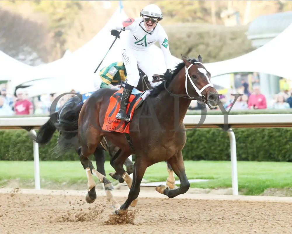 Timberlake - Rebel Stakes G2 64Th Running 02-24-24 R11 Op Finish 02 Oaklawn Park