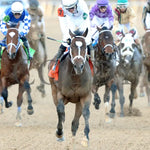 Timberlake - Rebel Stakes G2 64Th Running 02-24-24 R11 Op Gallop Out 01 Oaklawn Park