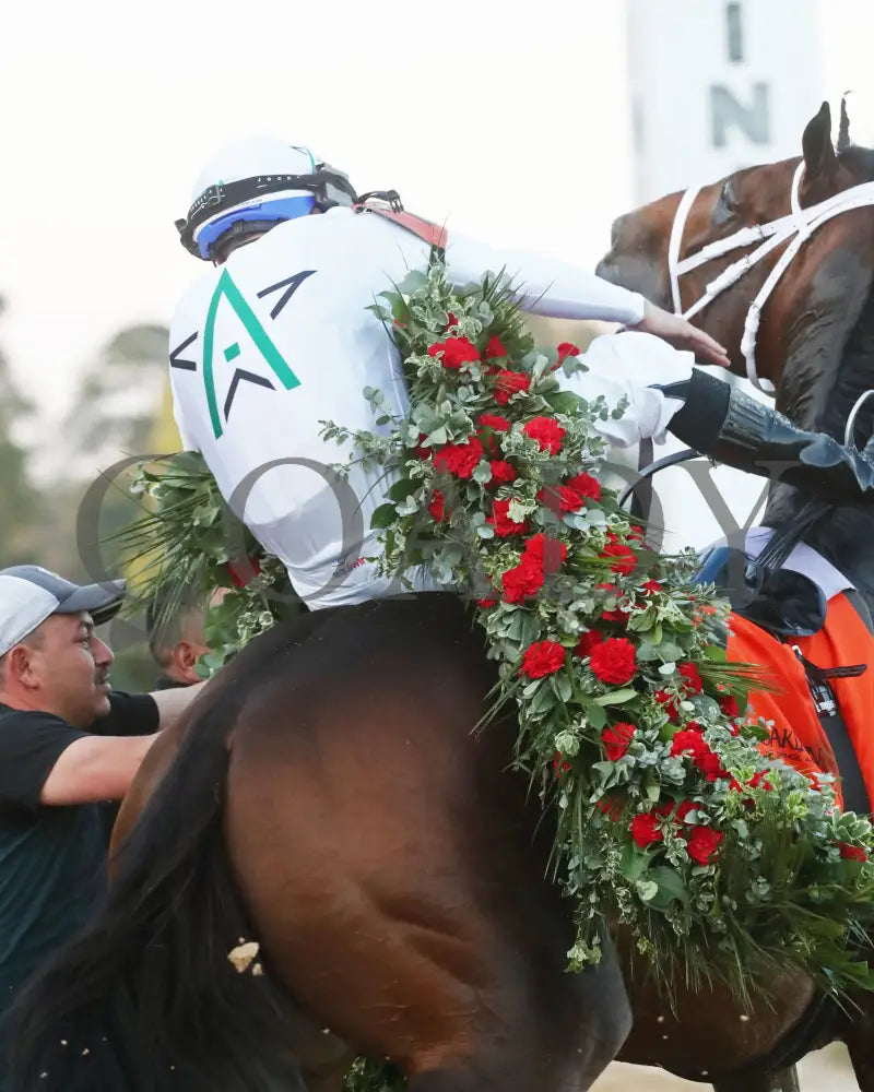 Timberlake - Rebel Stakes G2 64Th Running 02-24-24 R11 Op Garland 03 Oaklawn Park