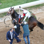 Timberlake - Rebel Stakes G2 64Th Running 02-24-24 R11 Op Garland 02 Oaklawn Park