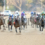 Timberlake - Rebel Stakes G2 64Th Running 02-24-24 R11 Op Head On 01 Oaklawn Park