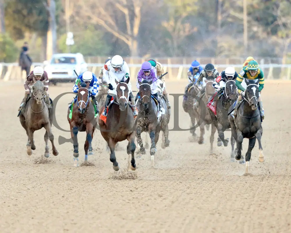 Timberlake - Rebel Stakes G2 64Th Running 02-24-24 R11 Op Head On 01 Oaklawn Park