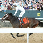 Timberlake - Rebel Stakes G2 64Th Running 02-24-24 R11 Op Inside Finish 01 Oaklawn Park