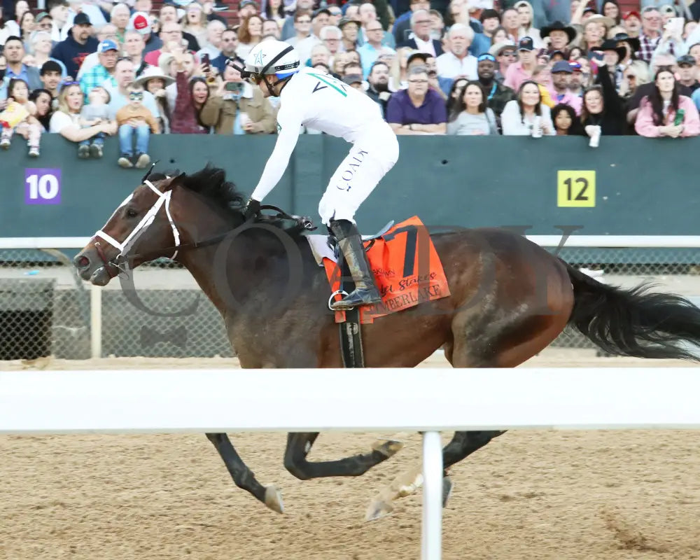 Timberlake - Rebel Stakes G2 64Th Running 02-24-24 R11 Op Inside Finish 01 Oaklawn Park