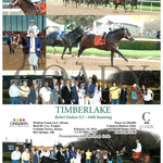 Timberlake - Rebel Stakes G2 64Th Running 02-24-24 R11 Op Oaklawn Park