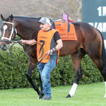 Timberlake - Rebel Stakes G2 64Th Running 02-24-24 R11 Op Paddock 02 Oaklawn Park