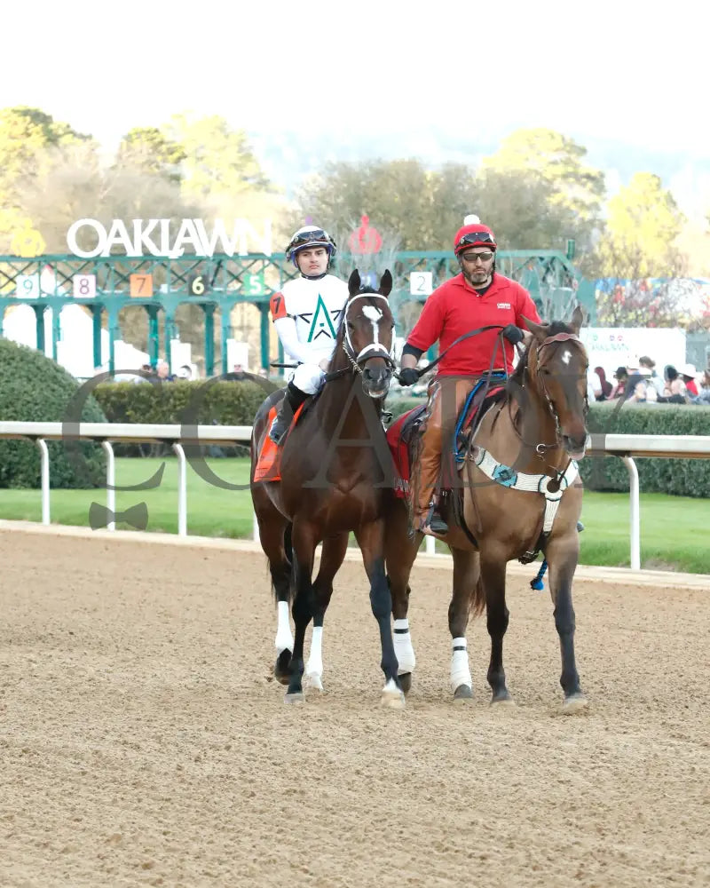 Timberlake - Rebel Stakes G2 64Th Running 02-24-24 R11 Op Post Parade 01 Oaklawn Park