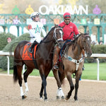 Timberlake - Rebel Stakes G2 64Th Running 02-24-24 R11 Op Post Parade 02 Oaklawn Park