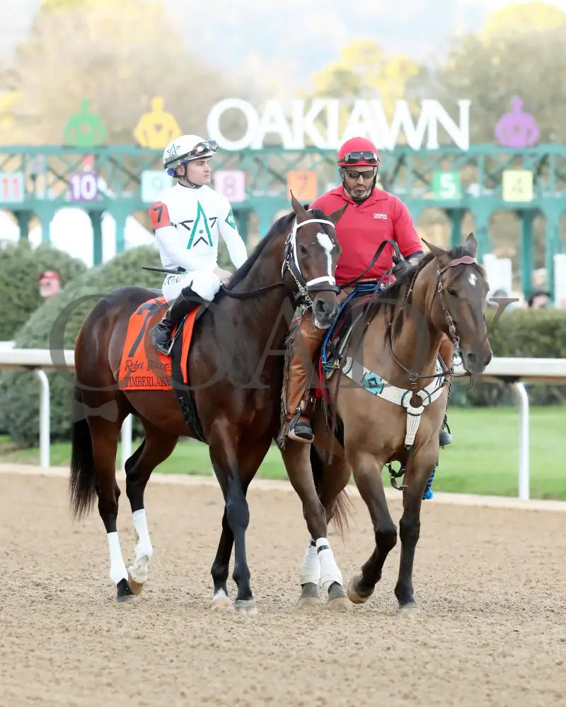 Timberlake - Rebel Stakes G2 64Th Running 02-24-24 R11 Op Post Parade 02 Oaklawn Park