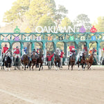 Timberlake - Rebel Stakes G2 64Th Running 02-24-24 R11 Op Start 03 Oaklawn Park