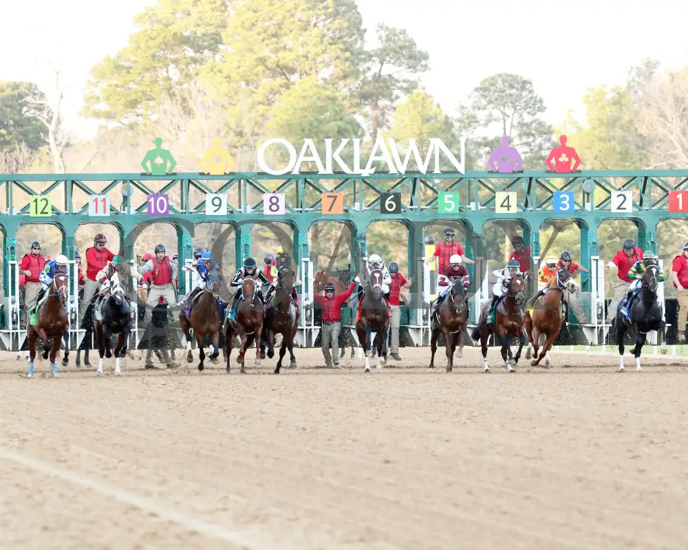 Timberlake - Rebel Stakes G2 64Th Running 02-24-24 R11 Op Start 03 Oaklawn Park