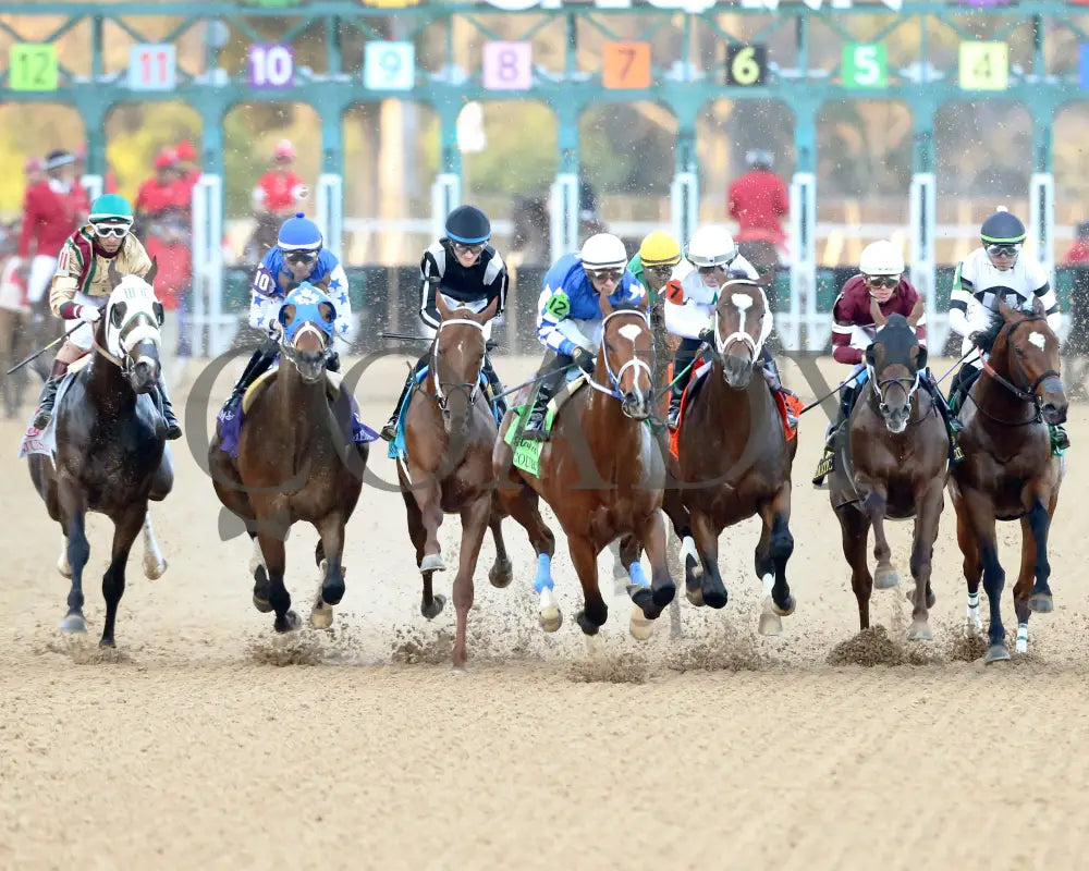 Timberlake - Rebel Stakes G2 64Th Running 02-24-24 R11 Op Start 04 Oaklawn Park