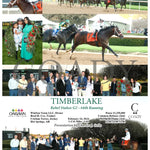 Timberlake - Rebel Stakes G2 64Th Running 02-24-24 R11 Op Torres Oaklawn Park