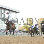 Timberlake - Rebel Stakes G2 64Th Running 02-24-24 R11 Op Under Rail 01 Oaklawn Park