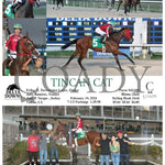 Tincan Cat - 02 - 10 - 24 R01 Ded Delta Downs