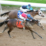 Tiny Temper - The Azeri Stakes G2 37Th Running 03 - 09 - 24 R09 Op Aerial Finish 01 Oaklawn Park