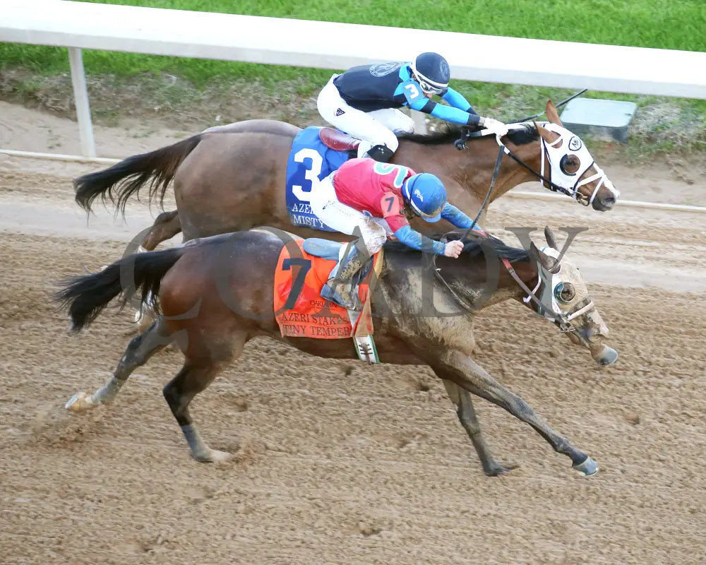 Tiny Temper - The Azeri Stakes G2 37Th Running 03 - 09 - 24 R09 Op Aerial Finish 01 Oaklawn Park